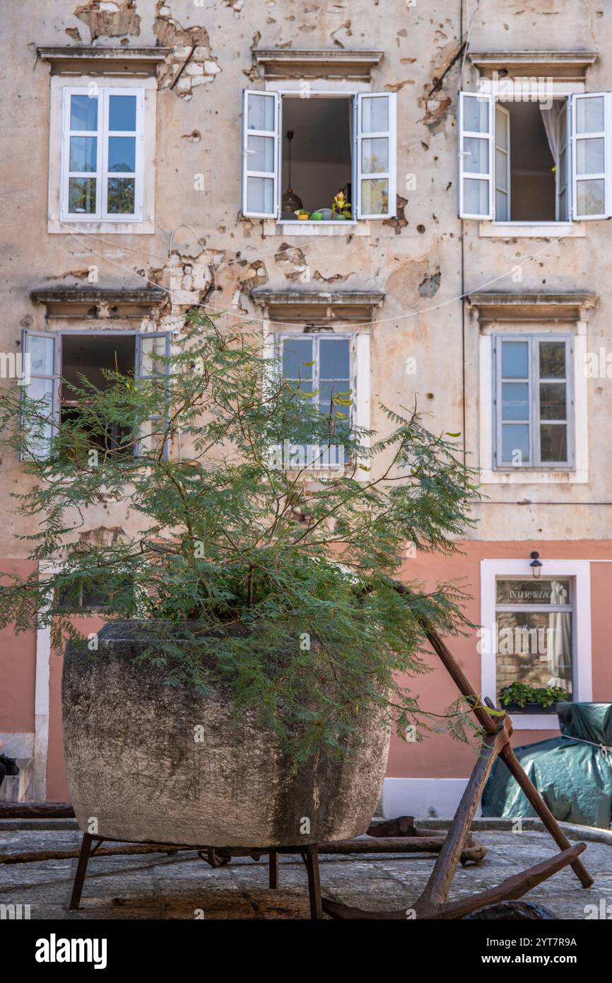 Fenêtre d'un ancien bâtiment avec des trous de balles de la guerre des Balkans. Façade de fenêtre ou façade de maison dans la vieille ville historique de Zadar, mer Adriatique, Dalmatie, Croatie Banque D'Images