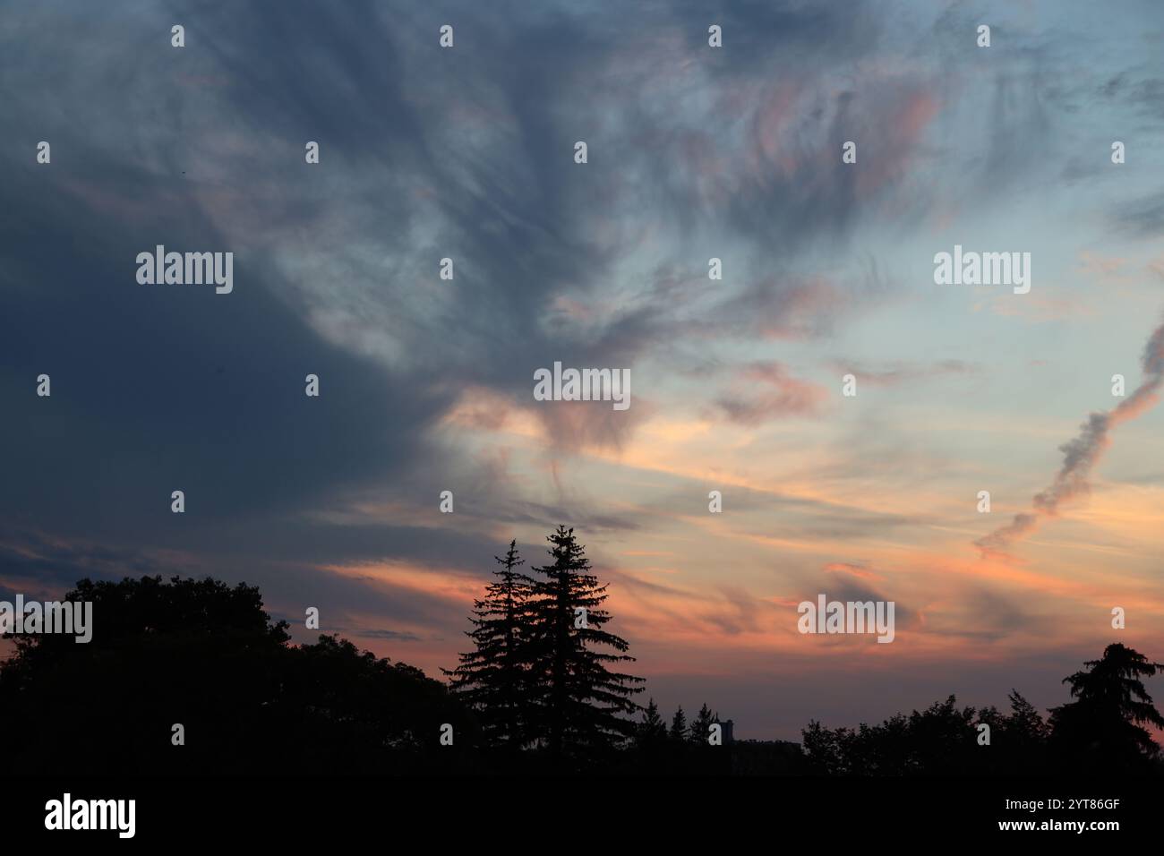 nuages au-dessus des pins peints en pastels rose bleu orange jaune blanc Banque D'Images