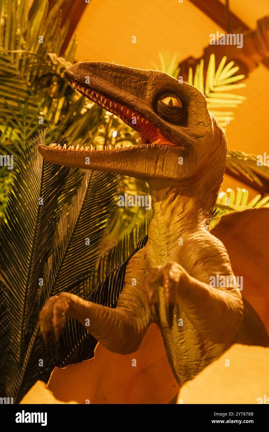 Angleterre, Kent, Maidstone, Musée Maidstone et Galerie d'art, exposition de bébé Tyrannosaurus éclosant d'œuf de dinosaure Banque D'Images