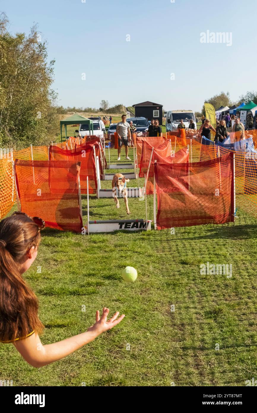 Angleterre, Kent, Deal, Betteshanger Country Park, Pawfest, concours de récupération de balle pour chien Banque D'Images