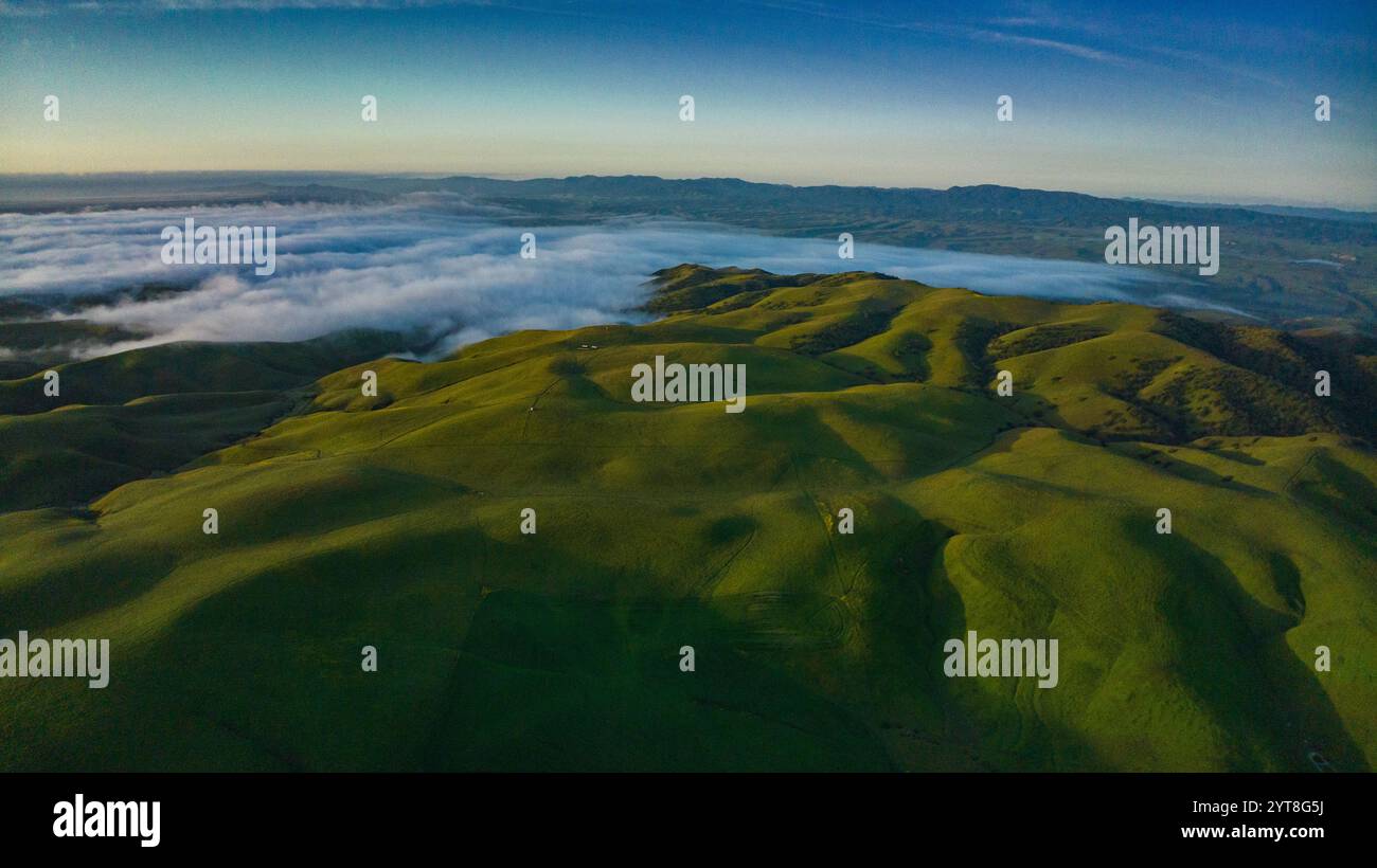 AVRIL 2023, SHANDON, CA. - Collines verdoyantes de printemps dans le comté de San Luis Obisbo, Californie au lever du soleil avec brouillard du matin Banque D'Images