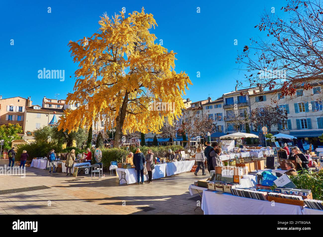 Des étals de marché BRIC-a-Brac et un Ginkgo doré sous le soleil d'hiver dans la vieille ville d'Antibes, France. Banque D'Images