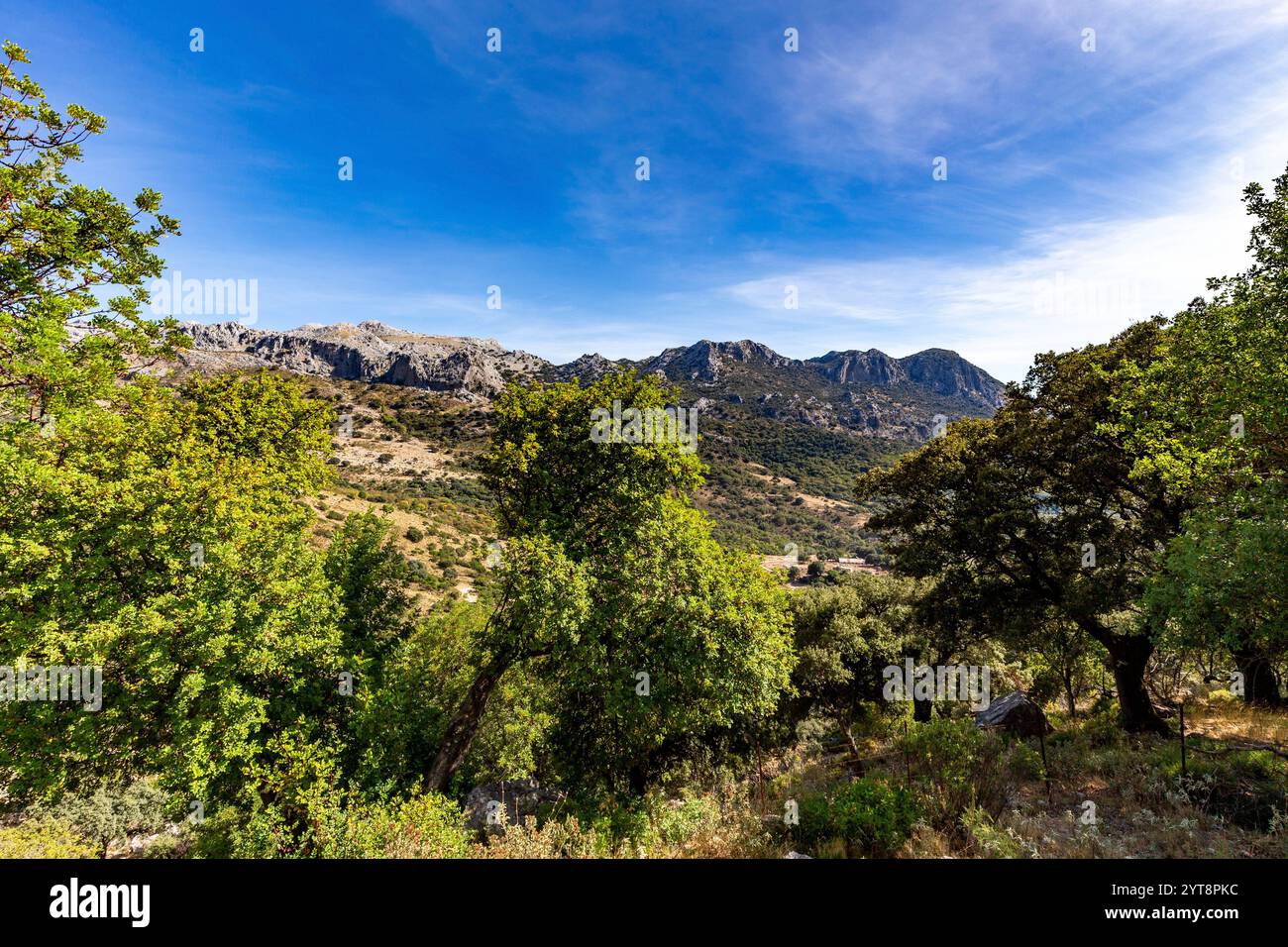 Paysage dans la Sierra de Grazalema en Andalousie, Espagne. Banque D'Images