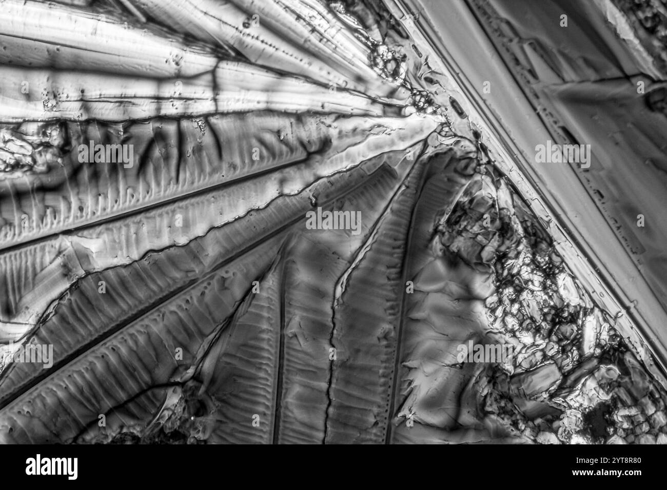 Cliché microscopique montrant la structure des cristaux de sulfate d'ammonium Banque D'Images
