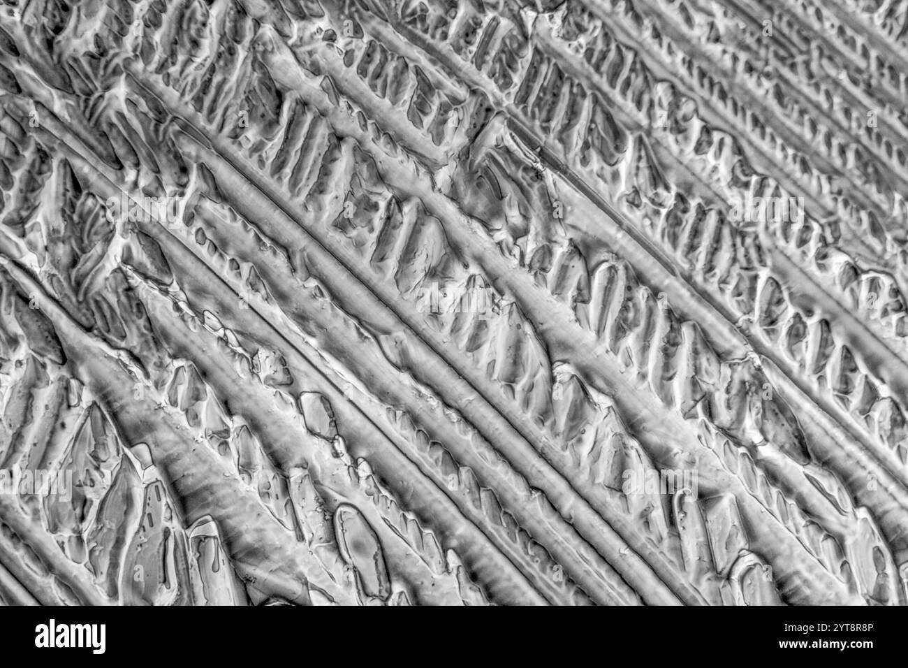 Cliché microscopique montrant la structure des cristaux de sulfate d'ammonium Banque D'Images