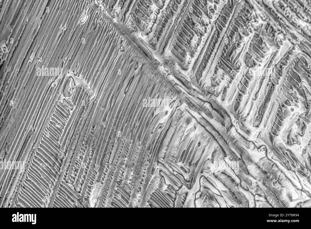 Cliché microscopique montrant la structure des cristaux de sulfate d'ammonium Banque D'Images