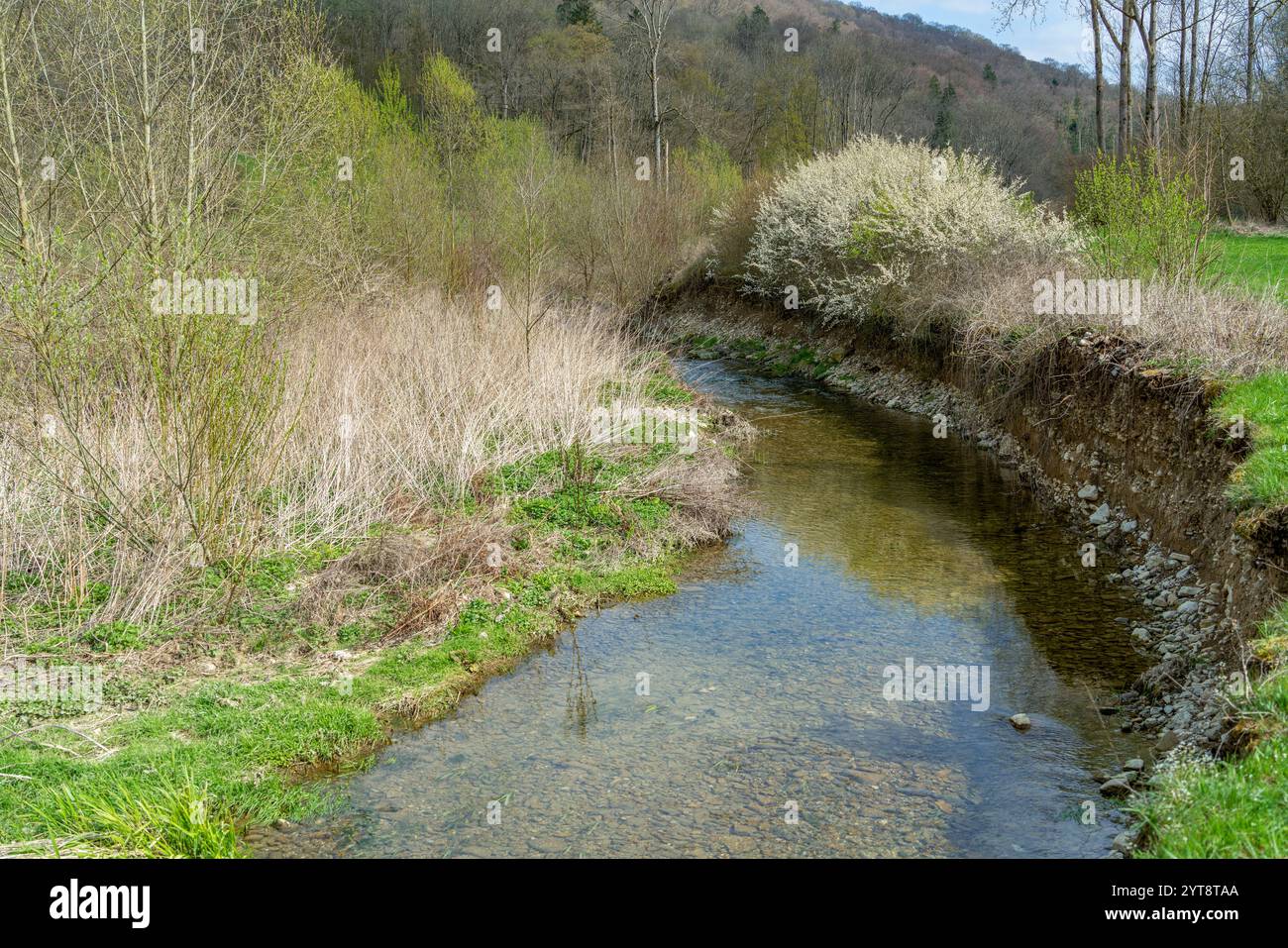 Paysage riverain autour du Grimmmmbach, une petite rivière dans le district de Hohenlohe, dans le sud de l'Allemagne, au début du printemps Banque D'Images