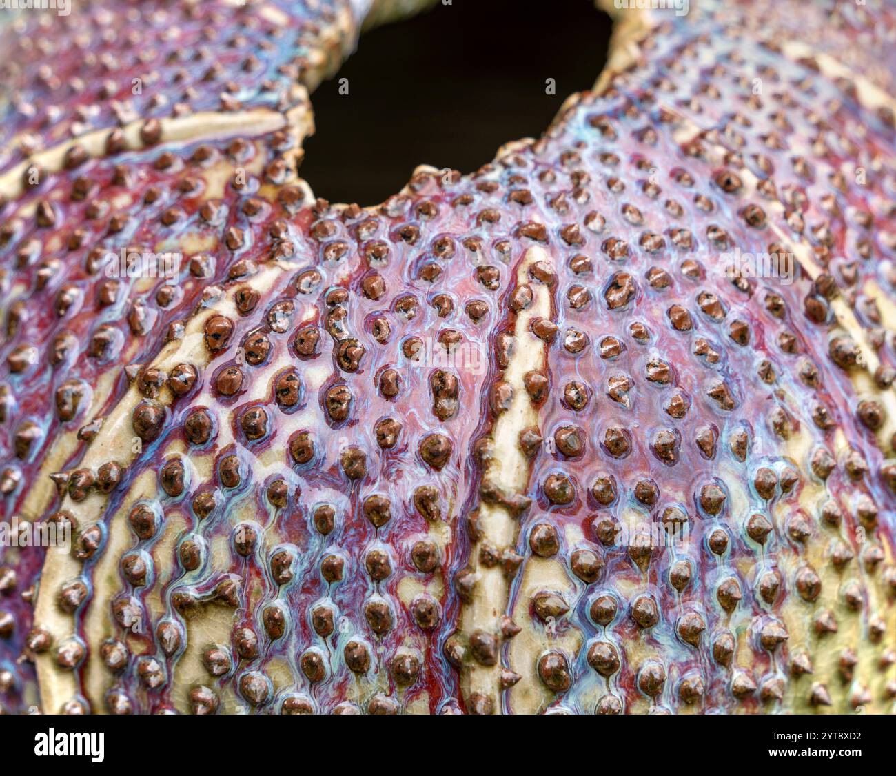 Bol en céramique avec détail nubby abstrait plein format Banque D'Images