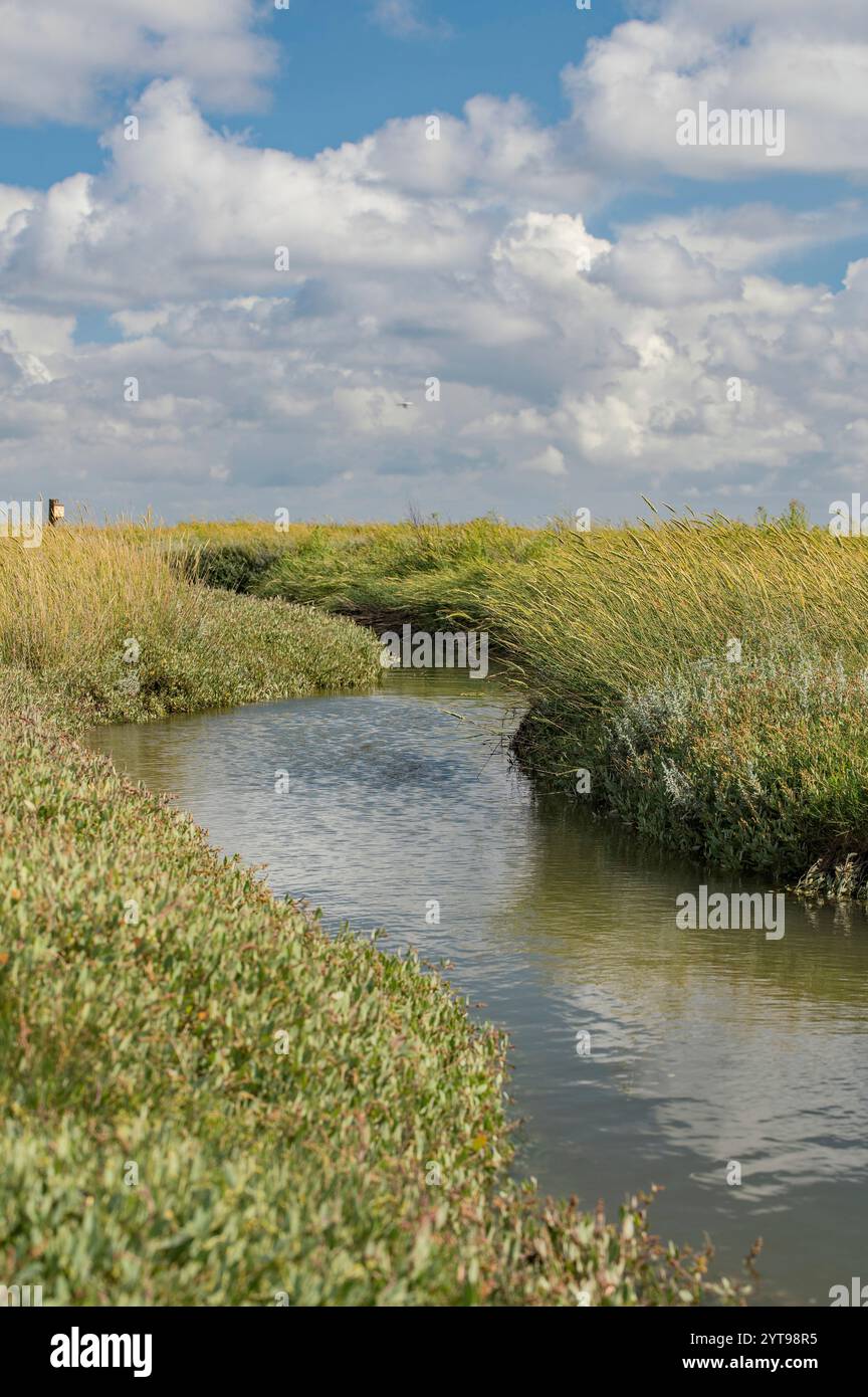 Cours d'eau et marais salants de la mer des Wadden Banque D'Images