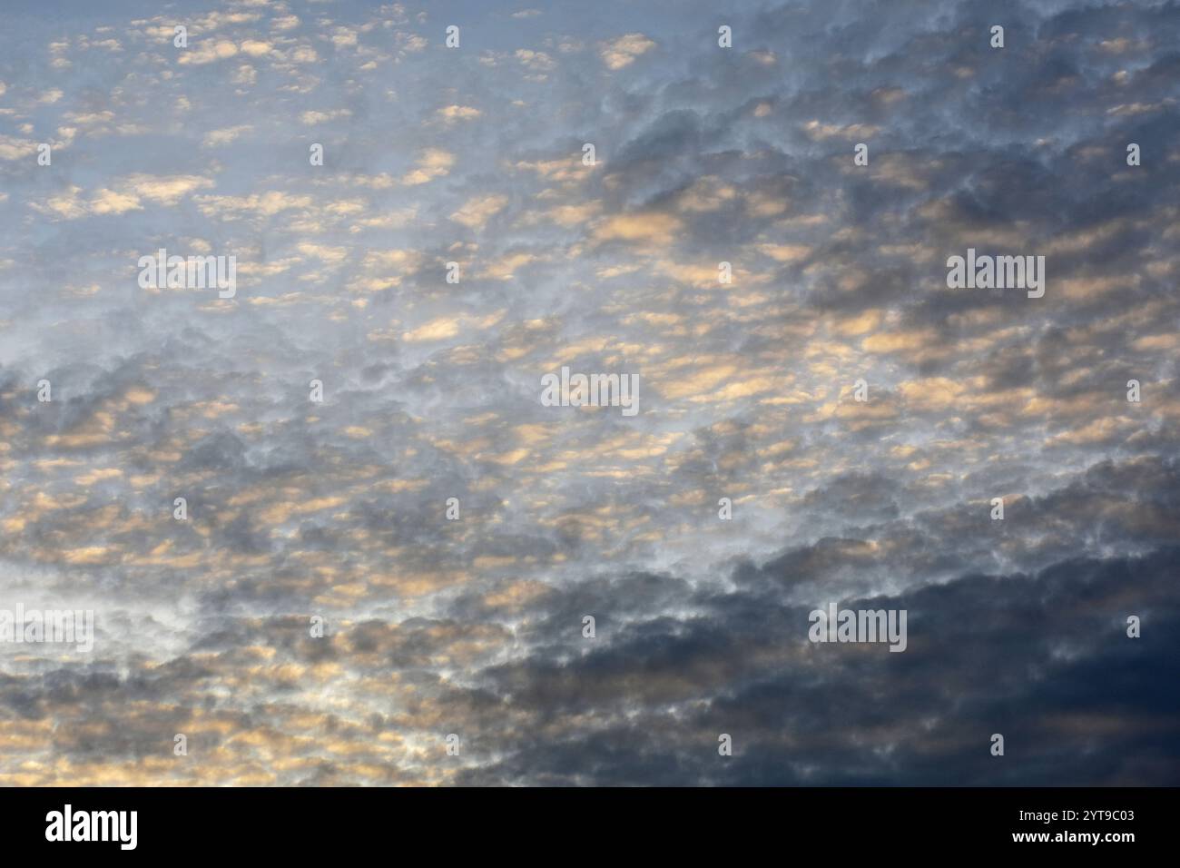 Altocumulus floccus nuages au crépuscule Banque D'Images
