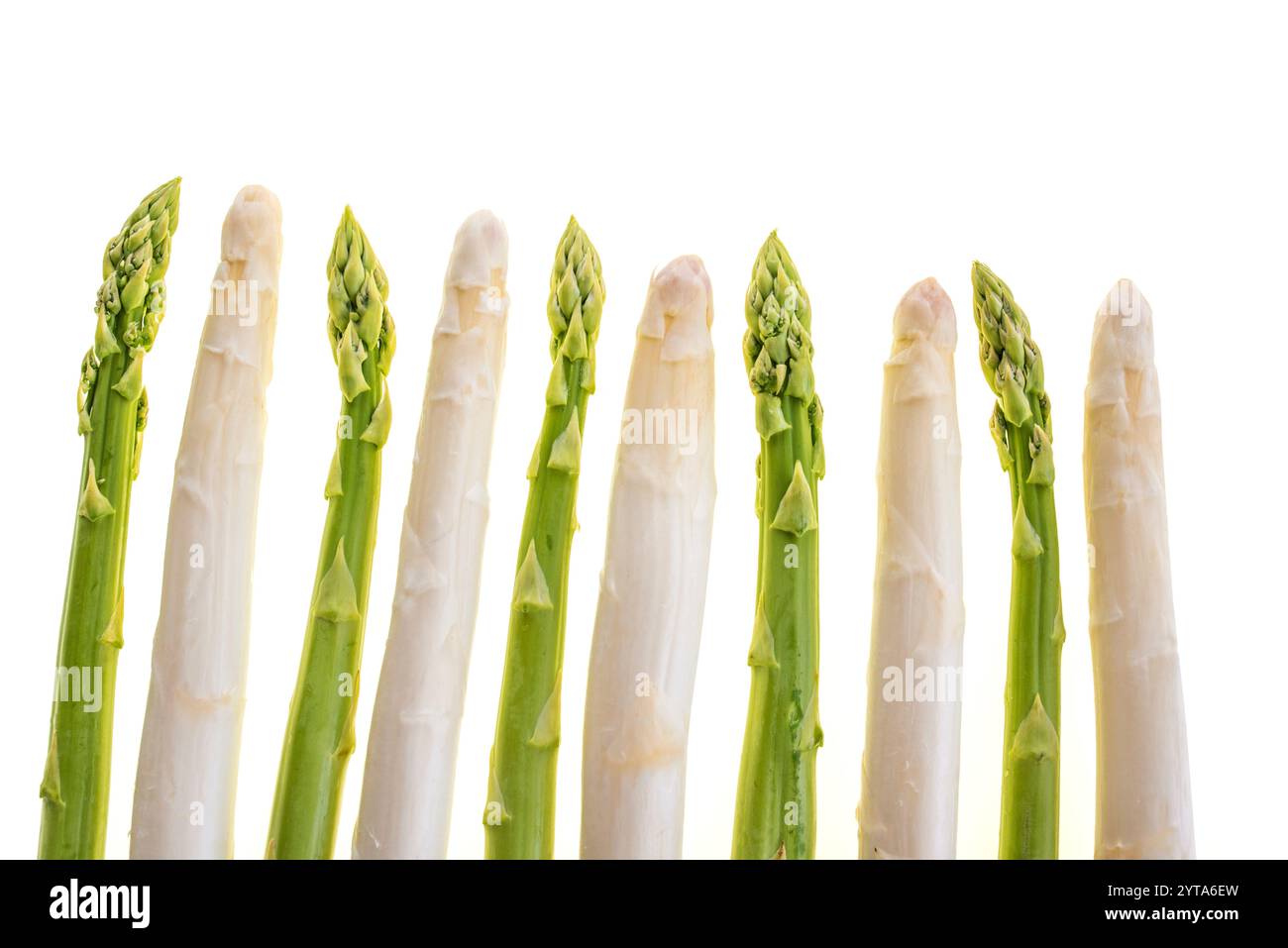 Pointes d'asperges fraîches blanches et vertes isolées sur fond blanc. Photographie vue de dessus de légumes de printemps. Contexte pour haelthy nutrion. Banque D'Images