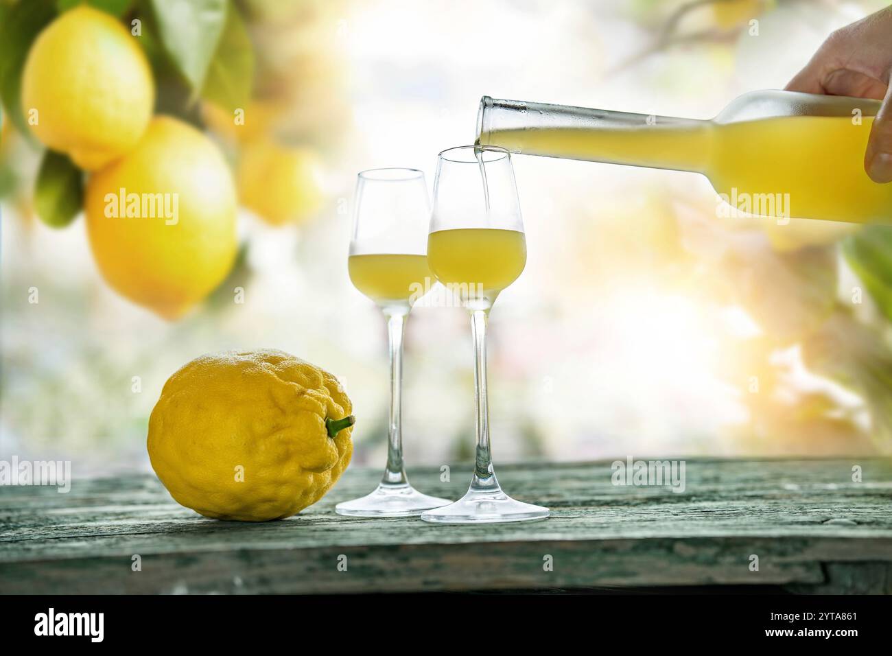 Limoncello versé dans des verres debout sur une table en bois altéré. Fond atmosphérique nature morte avec citronniers. Banque D'Images