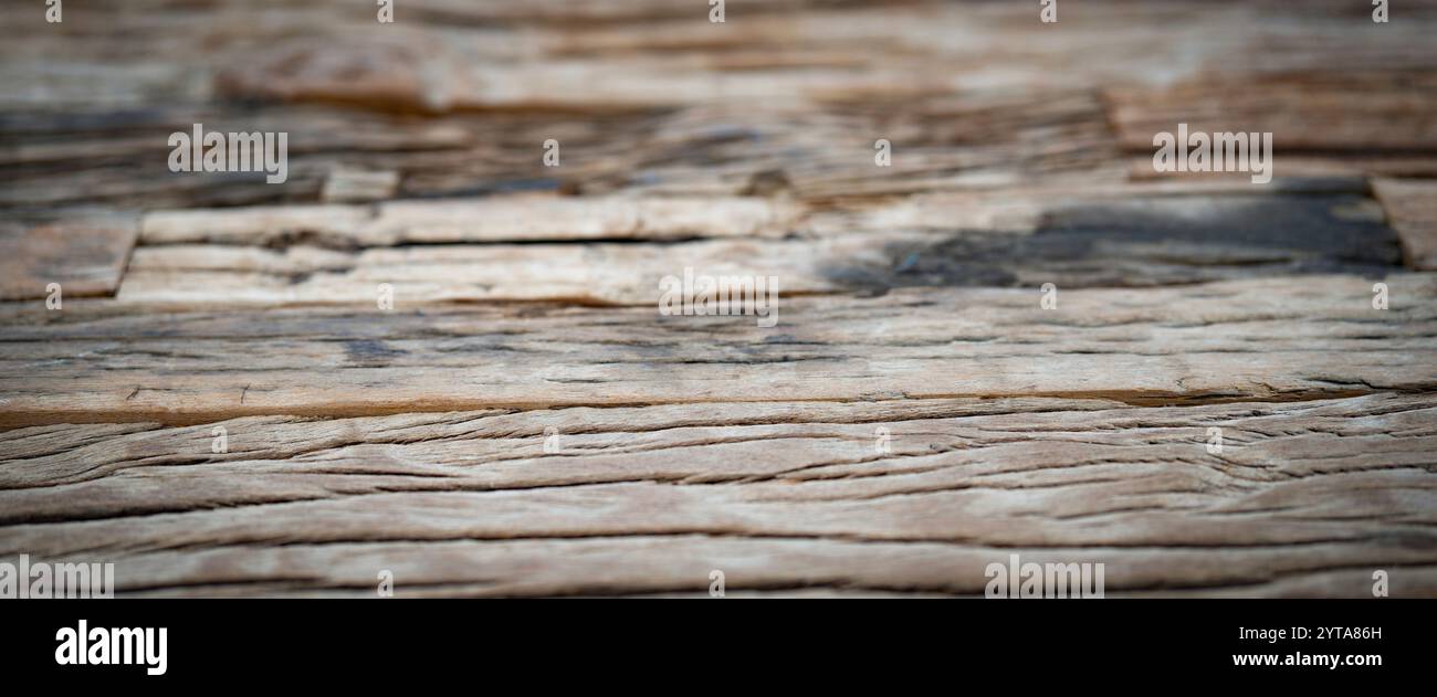 Vieille texture en bois altérée. Surface en bois gris brillant minable avec inclusions et fissures. Arrière-plan avec une faible profondeur de champ Banque D'Images