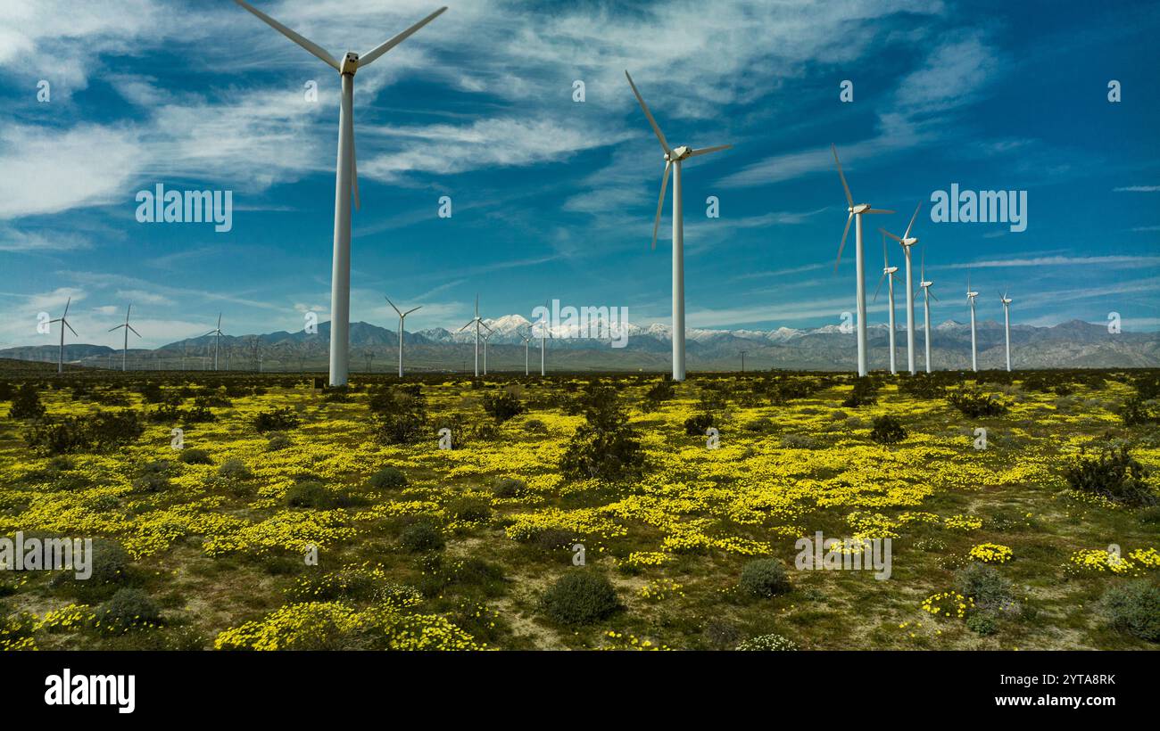 26 MARS 2023, PALM SPRINGS, CALIFORNIE - États-Unis - des fleurs jaunes printanières poussent sous les moulins à vent tourbillonnants à l'extérieur de Palm Springs, Calfornia Banque D'Images