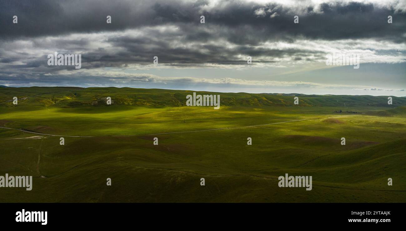 AVRIL 2023, SHANDON, CA. - Collines verdoyantes de printemps dans le comté de San Luis Obisbo, Californie au lever du soleil avec brouillard du matin Banque D'Images