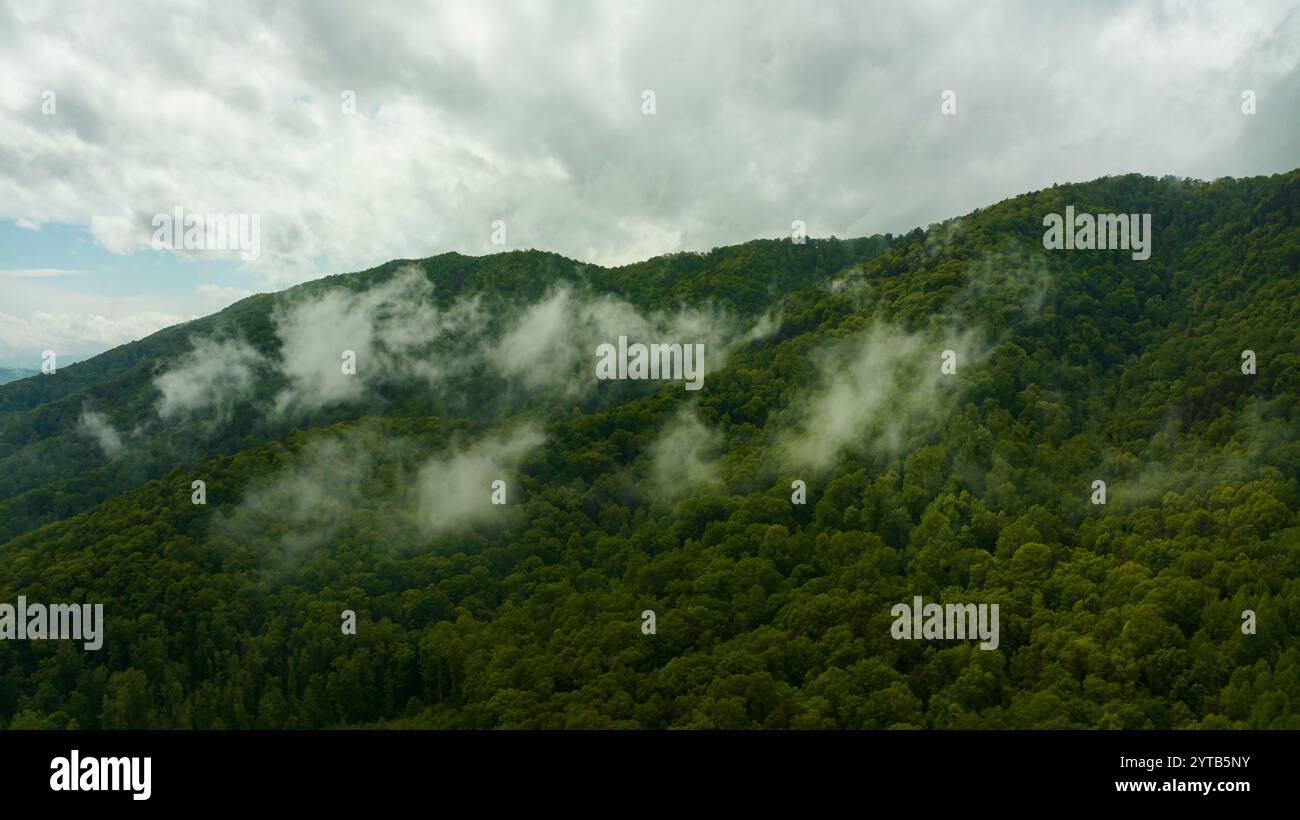 7 MAI 2023 - CLIFTON FORGE, VIRGINIE - USA - nuages suspendus au-dessus des montagnes vertes de Virginie après la tempête Banque D'Images