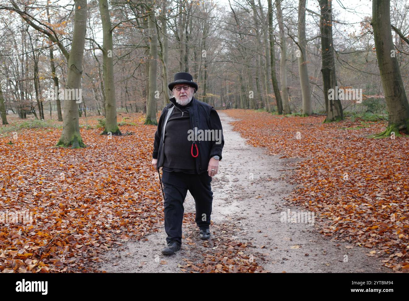 Stout homme senior avec tophat marche à travers un bois de hêtre en automne aux pays-Bas Banque D'Images