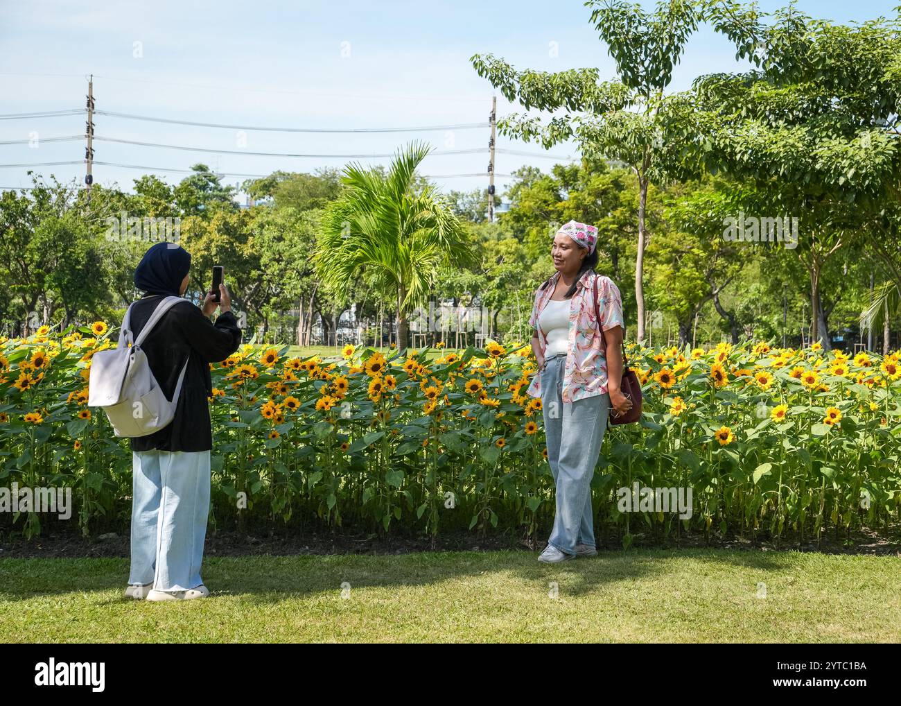 Bangkok, Thaïlande. 06th Dec, 2024. Une femme est vue en train de prendre une photo de son amie devant un champ de tournesol, au parc Chatuchak, à Bangkok. Chatuchak Park est un parc public à Bangkok, offrant une retraite paisible avec des espaces verts, un lac et des zones de loisirs loin de l'agitation de la ville. Crédit : SOPA images Limited/Alamy Live News Banque D'Images