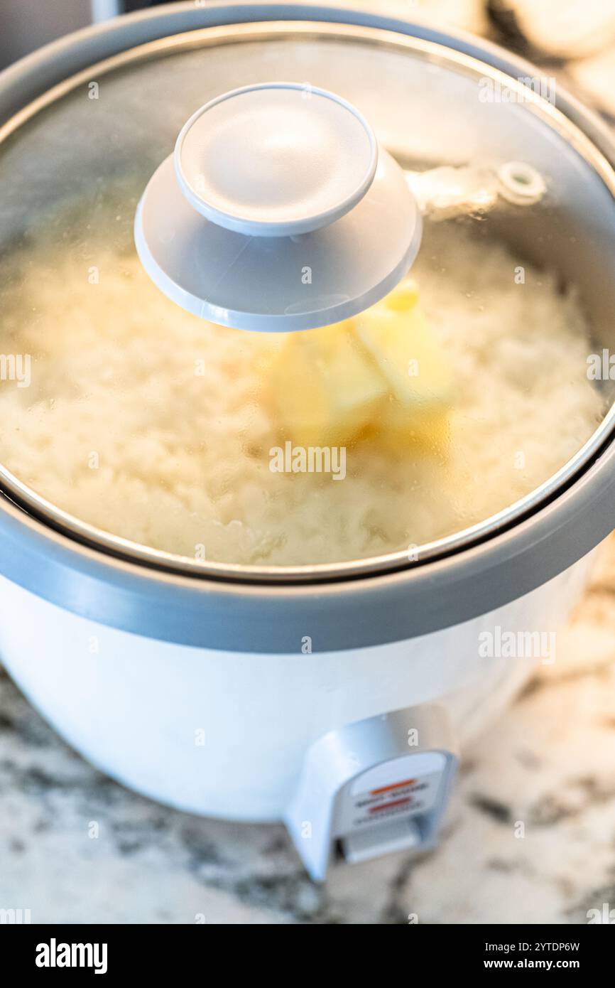 Calrose Rice Delight : cuisson sans effort dans un cuiseur à riz Banque D'Images Calrose Rice Delight : cuisson sans effort dans un cuiseur à riz Banque D'Images