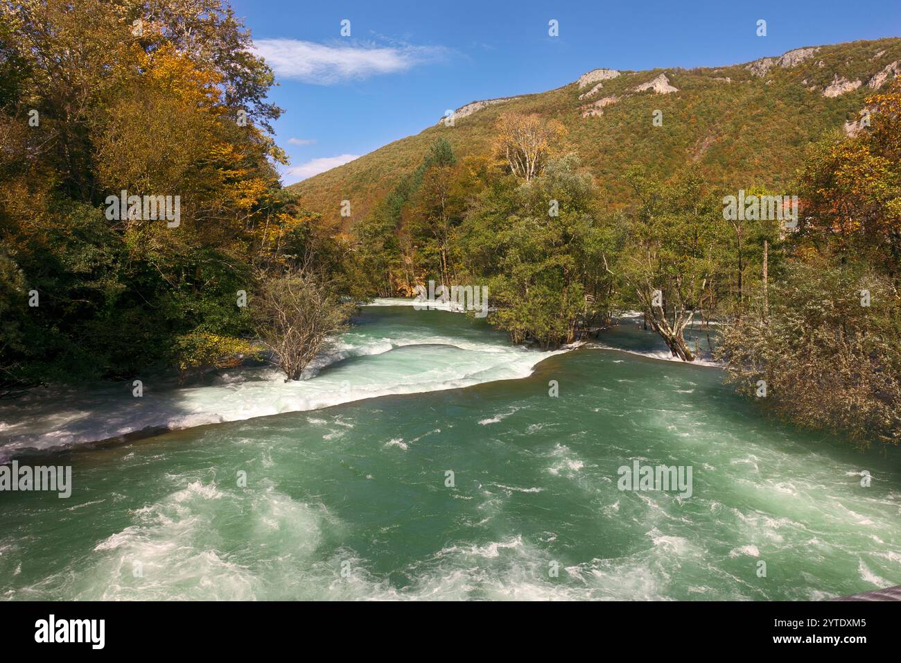 Forêt d'automne le long du ruisseau d'eau émeraude de la rivière Una, Martin-Brod, Bosnie-Herzégovine Banque D'Images