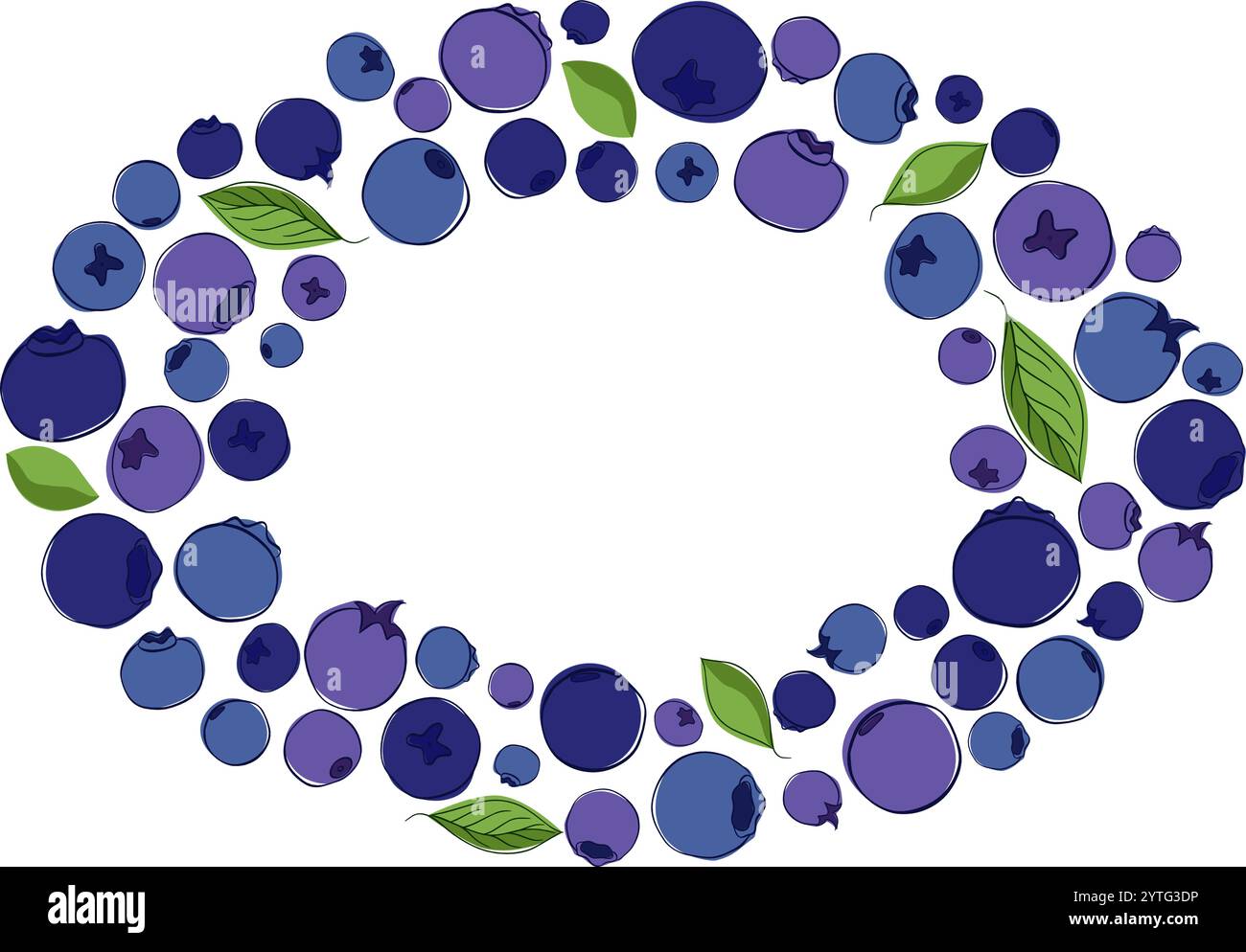 Bleuet avec des feuilles cadre ovale avec des bleuets mûrs dans des tons bleus et violets sur un fond isolé blanc. illustration vectorielle de ligne graphique. Illustration de Vecteur