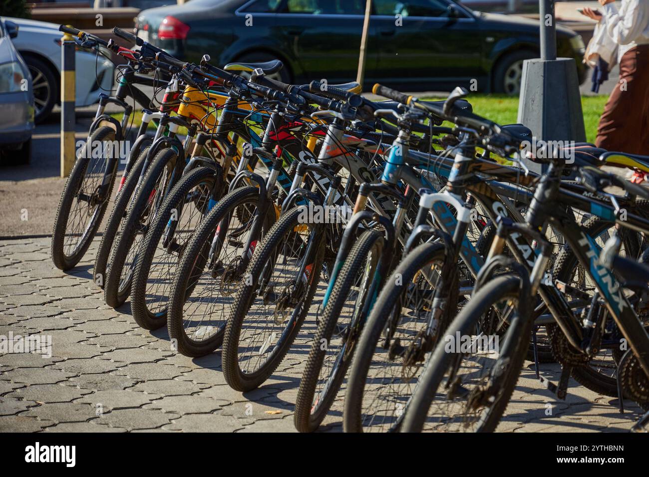 Les vélos se tiennent dans une rangée sur le pavé. Location de vélos dans le parc de la ville, vélo coloré à louer, transport écologique. Bichkek, Kirghizistan - 8 octobre 2024 Banque D'Images