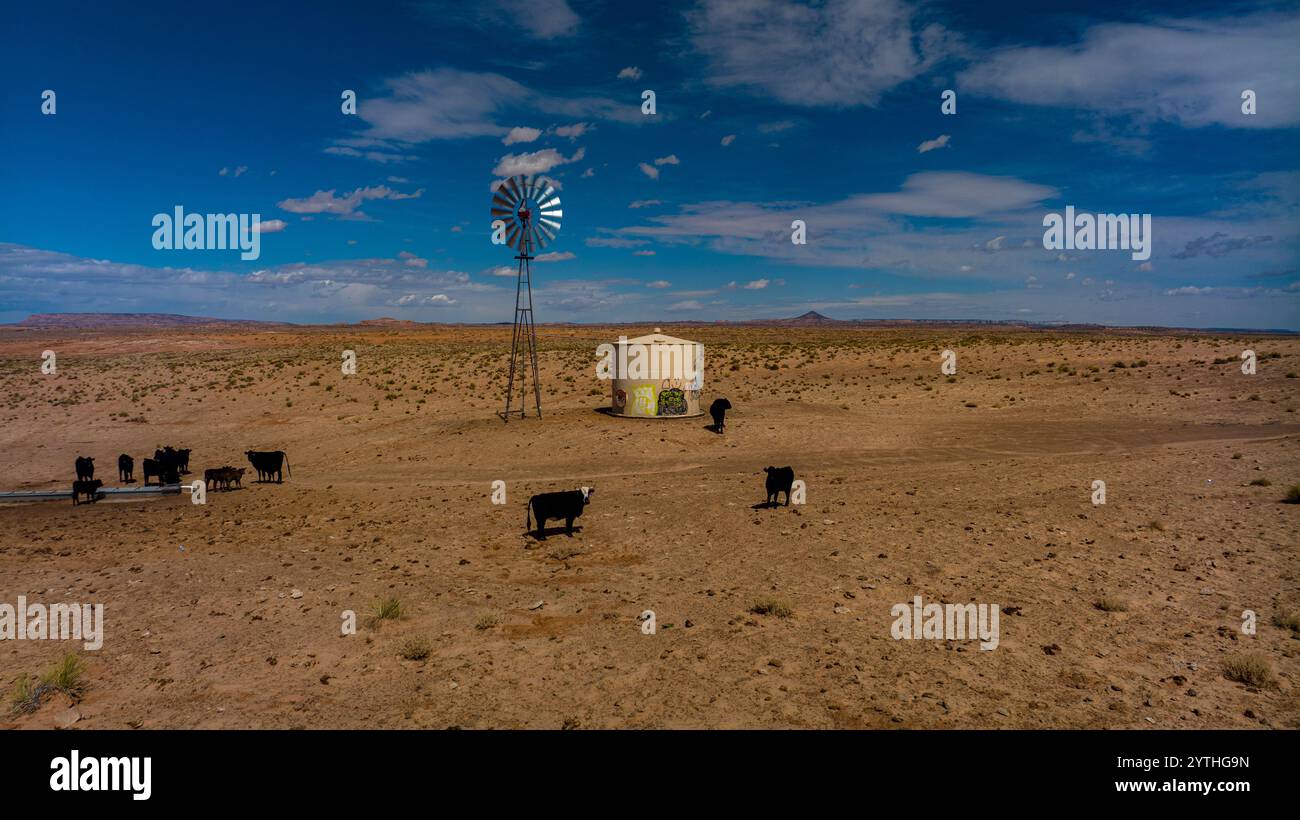 Mars 2024, TONALEA ARIZONA - Navajo Tribal Highway, moulin à vent du désert isolé et pâturage de bétail sur le sol désertique Banque D'Images