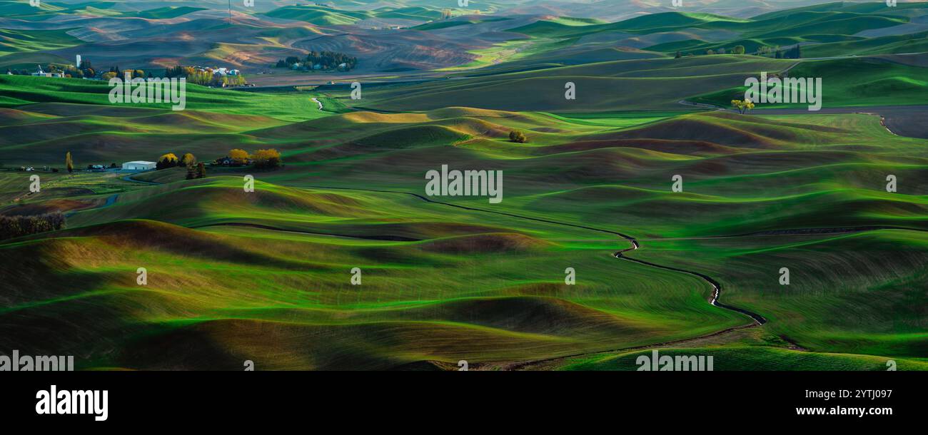 MAI 2024, AU SUD DE SPOKEANE, WA - la région de culture du blé et du grain de Palouse au sud de Spokeane crée des motifs de collines ondulantes et d'ombres - près de Steptoe Butte, à l'extérieur de Pullman WA Banque D'Images