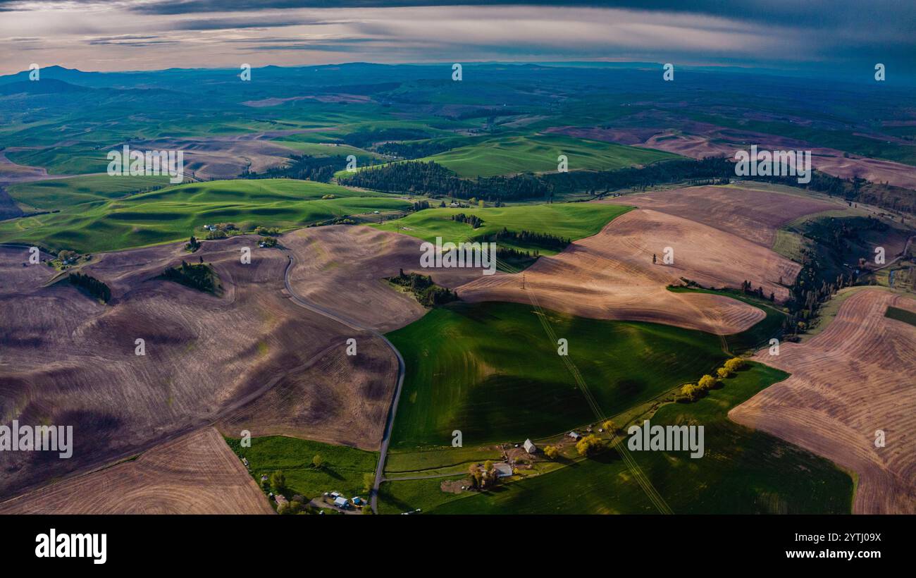 MAI 2024, AU SUD DE SPOKEANE, WA - la région de culture du blé et du grain de Palouse au sud de Spokeane crée des motifs de collines ondulantes et d'ombres - près de Steptoe Butte, à l'extérieur de Pullman WA Banque D'Images