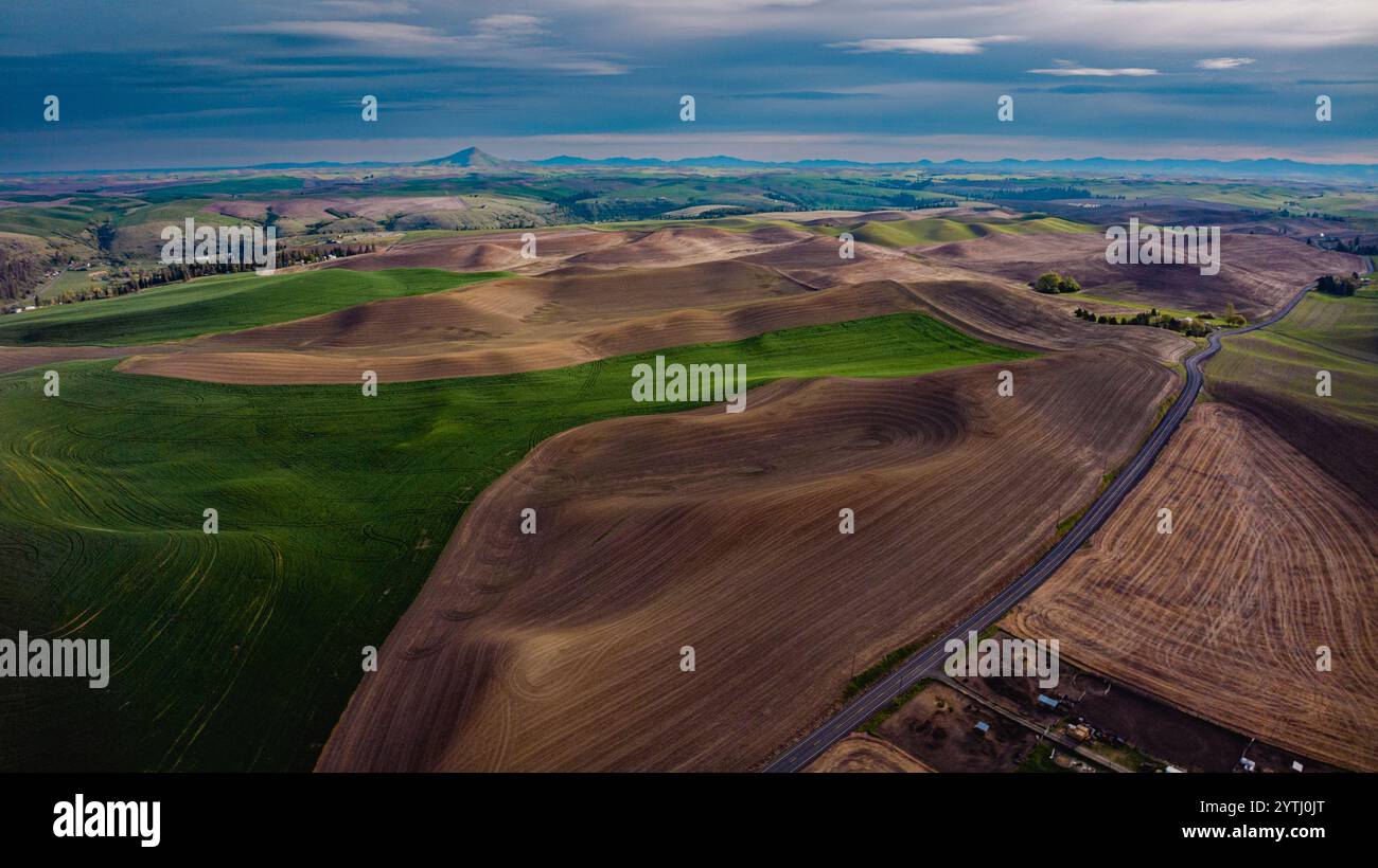 MAI 2024, AU SUD DE SPOKEANE, WA - la région de culture du blé et du grain de Palouse au sud de Spokeane crée des motifs de collines ondulantes et d'ombres - près de Steptoe Butte, à l'extérieur de Pullman WA Banque D'Images