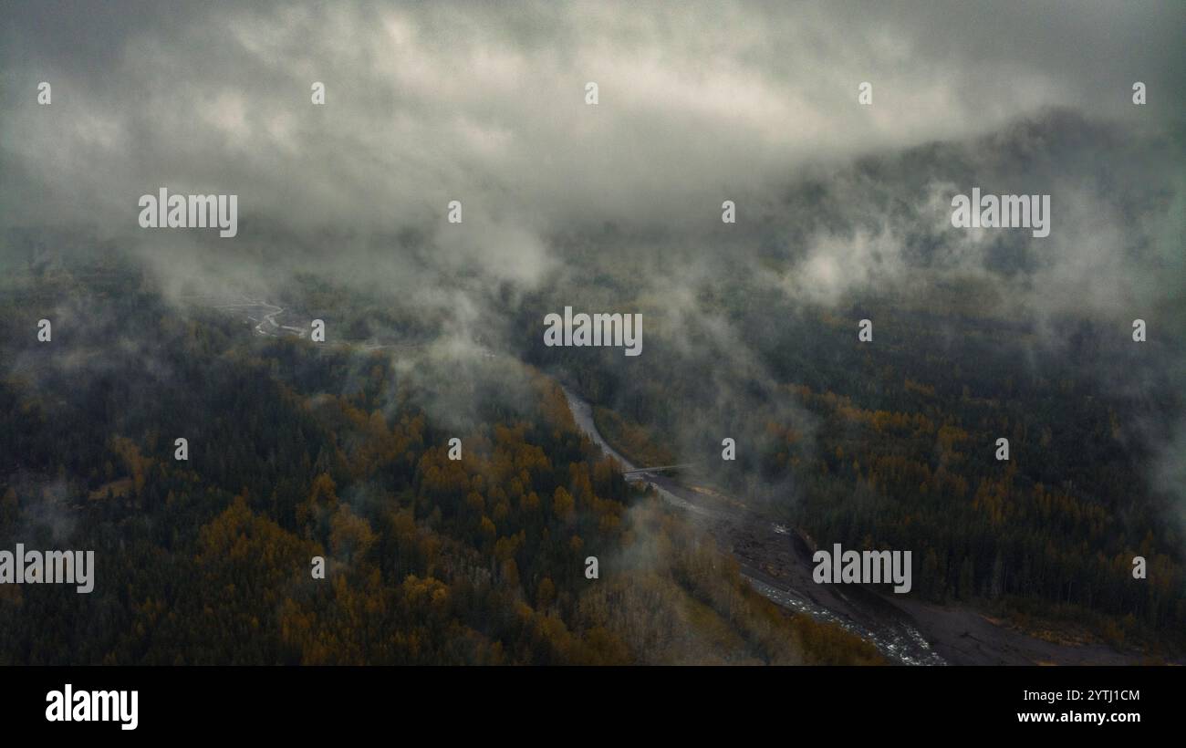 MAI 2024, PARC NATIONAL DU MONT RANIER, Washington - vue nuageuse de la forêt printanière avec des nuages approchant le mont Rainier Banque D'Images
