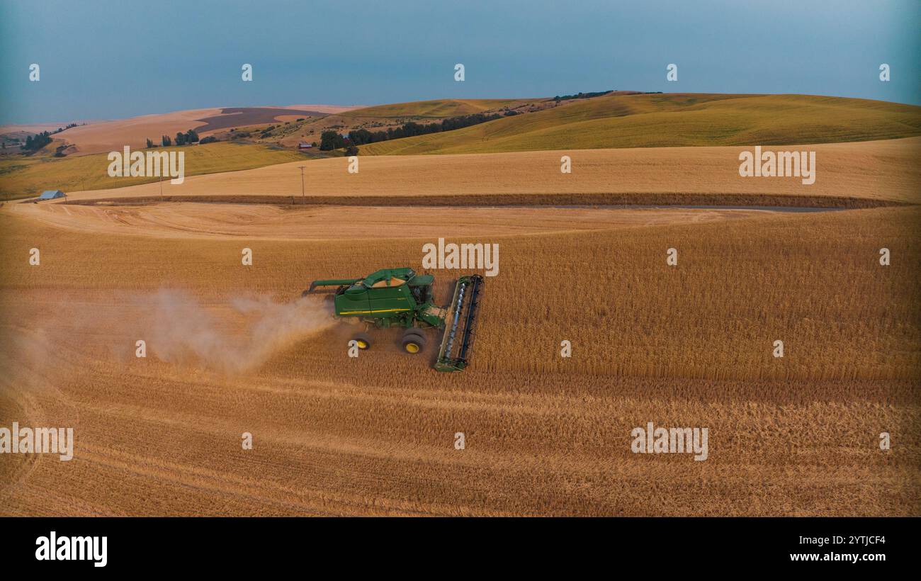 JUILLET 2024, PALOUSE, WASHINGTON - récolte de blé avec des moissonneuses-batteuses dans la région de Palouse dans l'État de Washington Banque D'Images