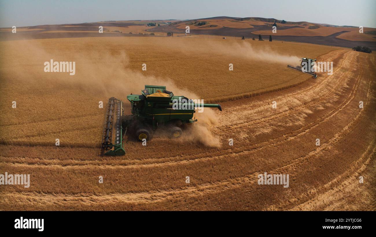 JUILLET 2024, PALOUSE, WASHINGTON - récolte de blé avec des moissonneuses-batteuses dans la région de Palouse dans l'État de Washington Banque D'Images