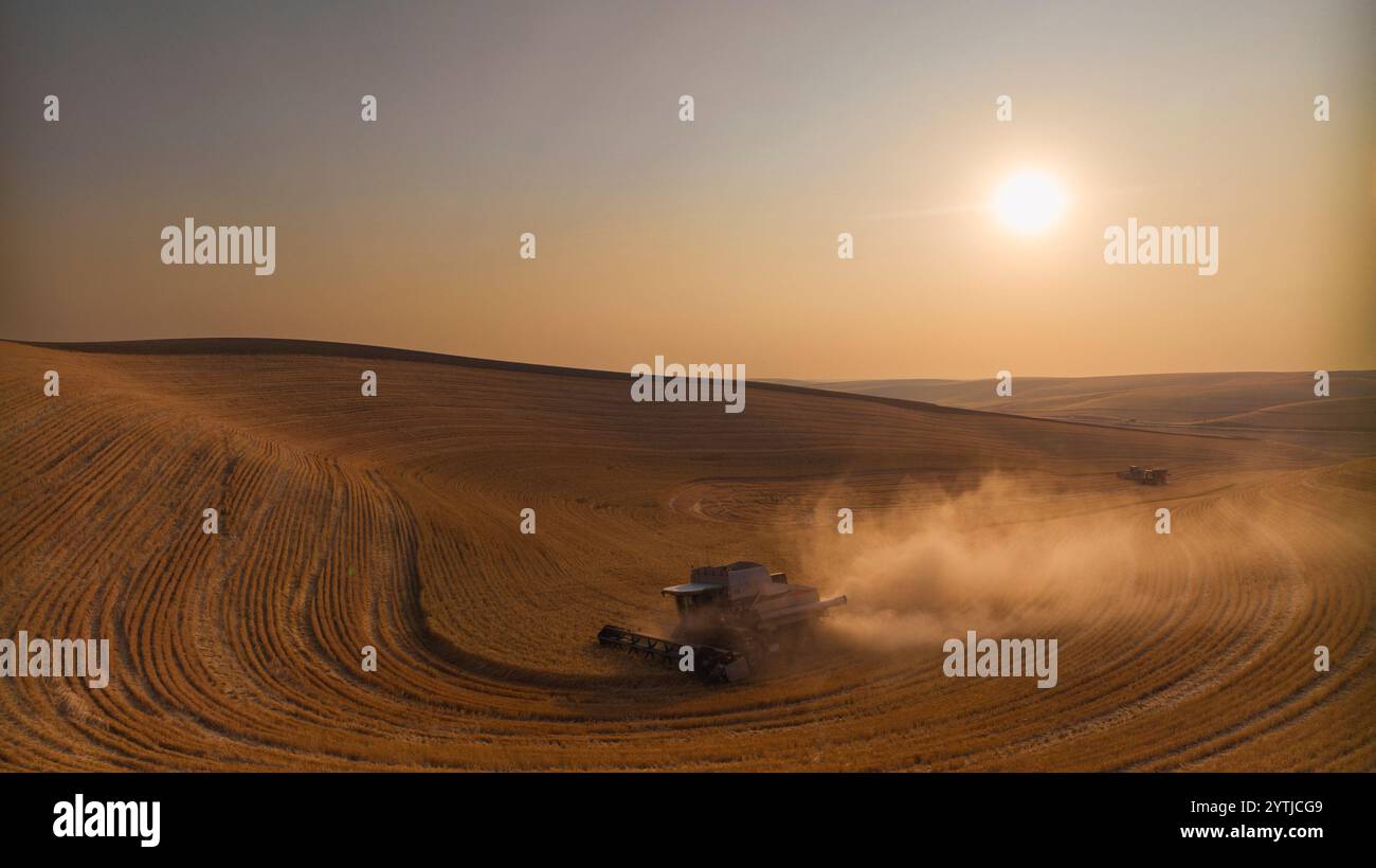 JUILLET 2024, PALOUSE, WASHINGTON - récolte de blé avec des moissonneuses-batteuses dans la région de Palouse dans l'État de Washington Banque D'Images
