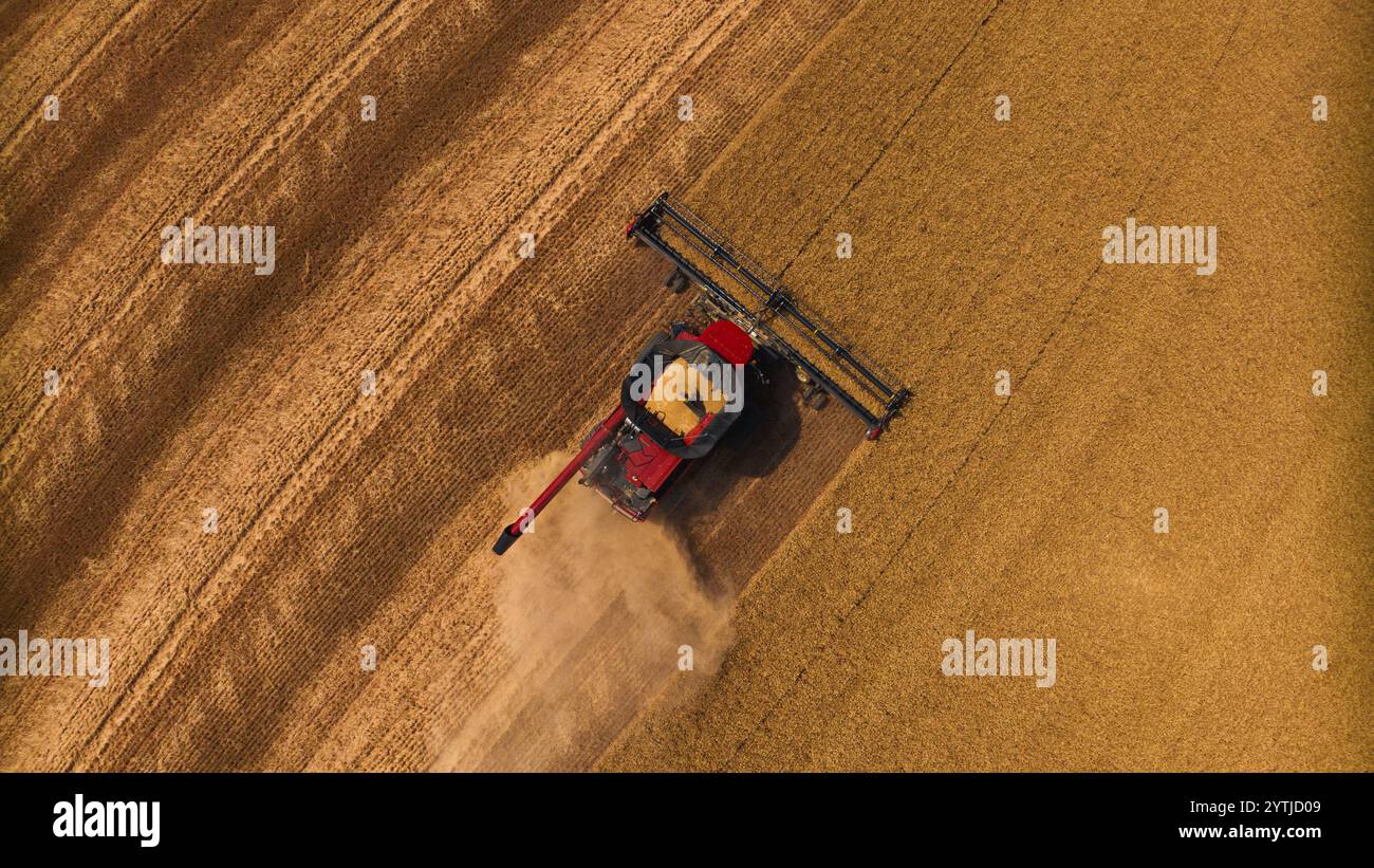 JUILLET 2024, PALOUSE, WASHINGTON - récolte de blé avec des moissonneuses-batteuses dans la région de Palouse dans l'État de Washington Banque D'Images