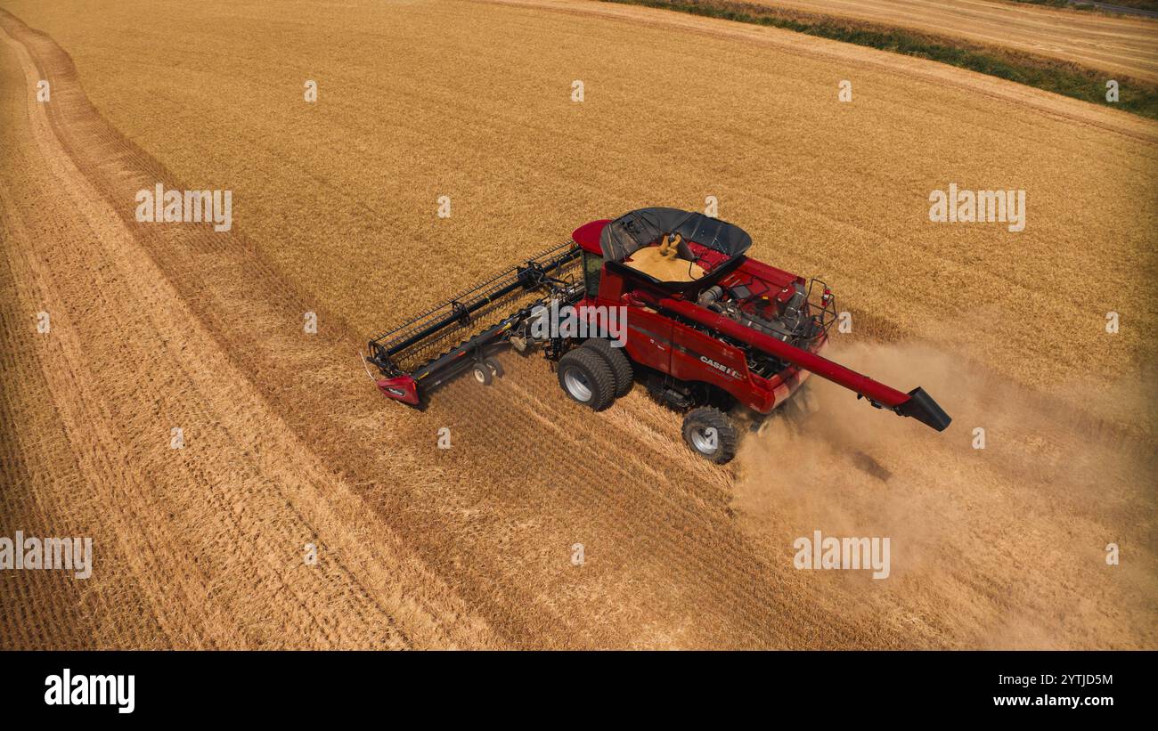 JUILLET 2024, PALOUSE, WASHINGTON - récolte de blé avec des moissonneuses-batteuses dans la région de Palouse dans l'État de Washington Banque D'Images