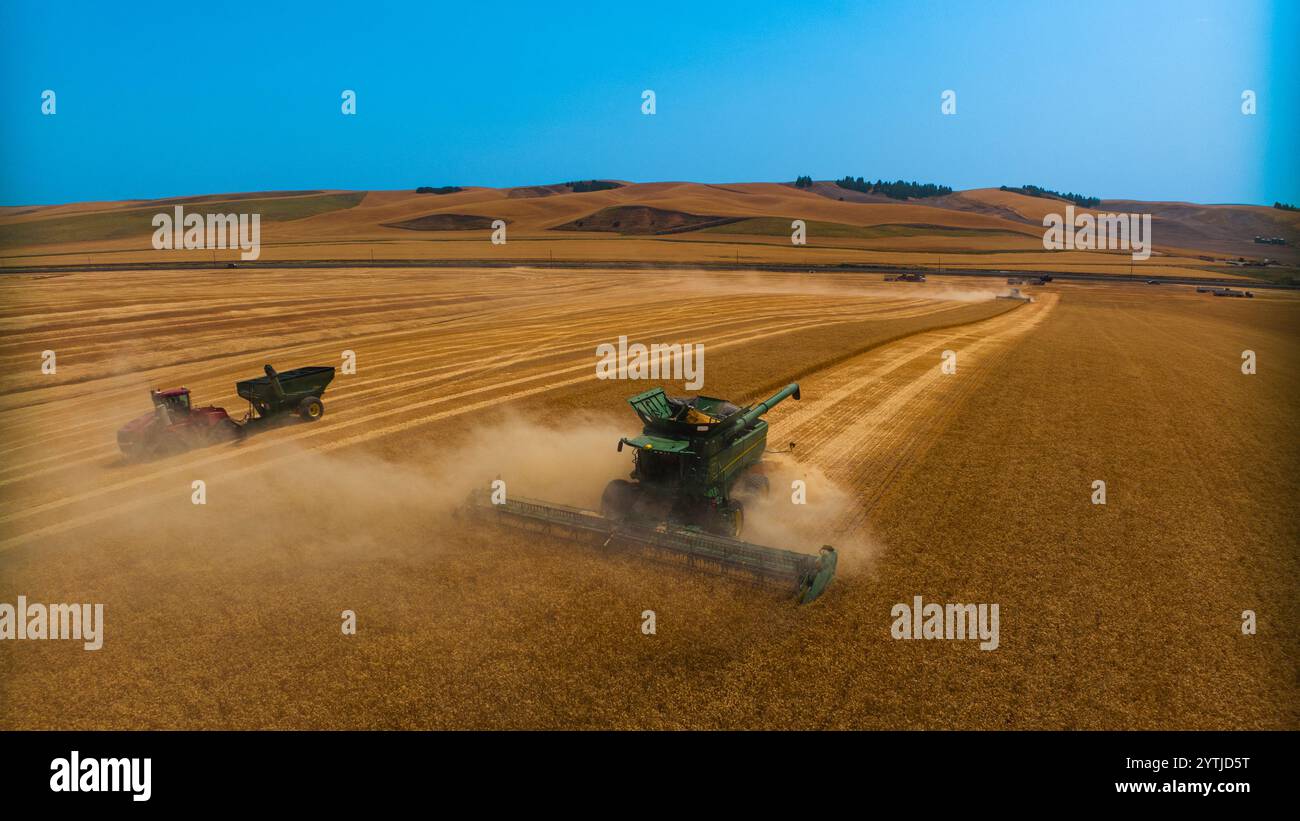 JUILLET 2024, PALOUSE, WASHINGTON - récolte de blé avec des moissonneuses-batteuses dans la région de Palouse dans l'État de Washington Banque D'Images