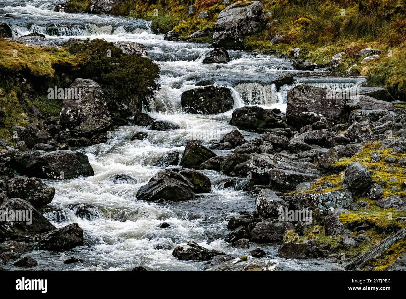Une rivière coule doucement sur des rochers lisses, créant de petites cascades en cascade. L'herbe et la mousse environnantes renforcent la beauté sereine de cette terre naturelle Banque D'Images