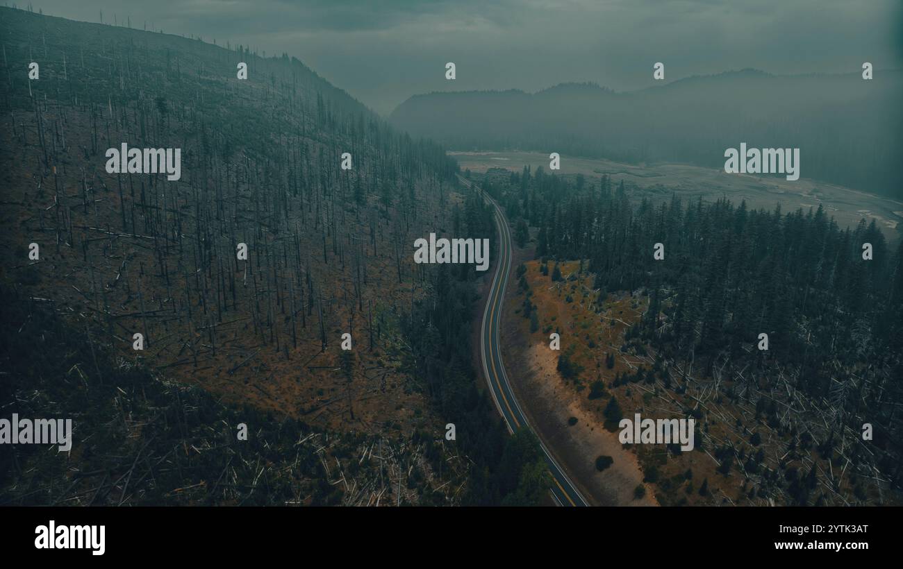 JUILLET 2024, CENTRE DE L'OREGON - route 120/26 - déboisé, dévastation par les feux de forêt et le changement climatique Banque D'Images
