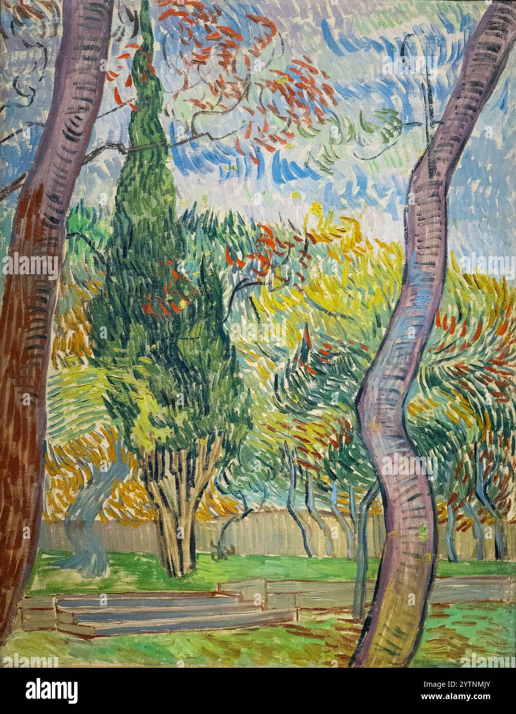 Arbres de Van Gogh dans le jardin de l'asile,1889 ; peinture de Vincent Van Gogh, peinture à l'huile du XIXe siècle, peintures de Van Gogh post-impressionnistes Banque D'Images