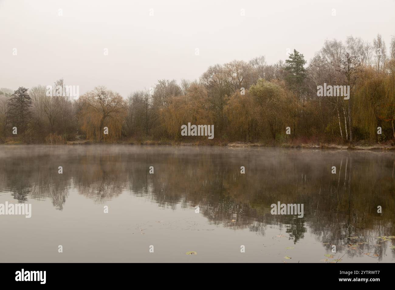 Panorama sur le Grube Fernie par un matin froid, brumeux et gris d'automne 2024, Großen-Linden, Hessia, Allemagne Banque D'Images