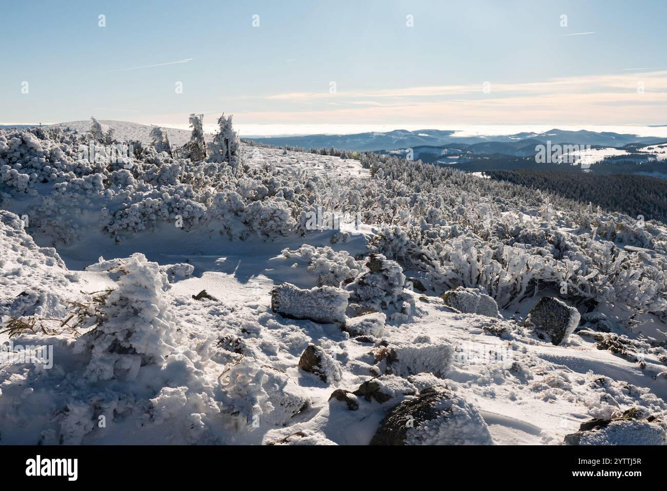 beau paysage de montagne couvert de neige en hiver Banque D'Images