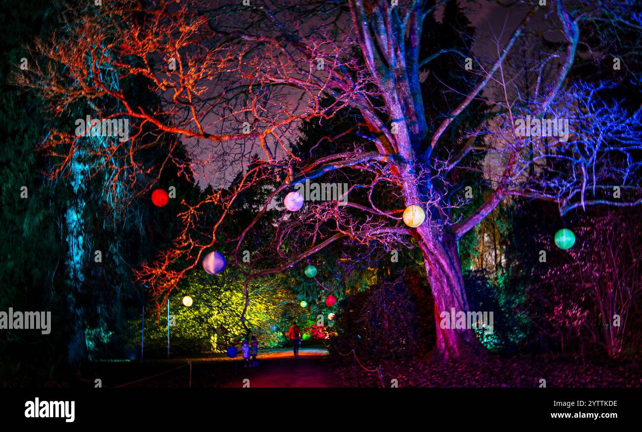 Arbres illuminés dans un parc animé la nuit avec des lanternes colorées suspendues, créant une atmosphère magique et enchanteresse Banque D'Images