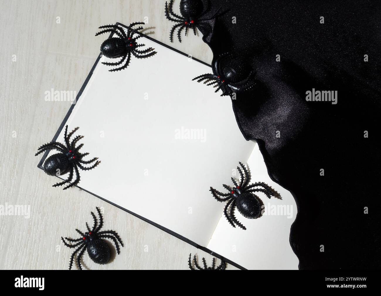 Image décorative avec des araignées dans la lumière du soleil pour Halloween. Fond blanc pour le texte pour les vacances. Banque D'Images