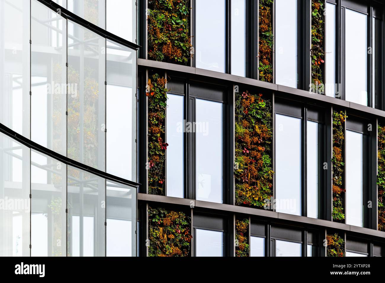 Façade de bâtiment vert avec jardins verticaux et grandes fenêtres en verre pour une architecture durable Banque D'Images