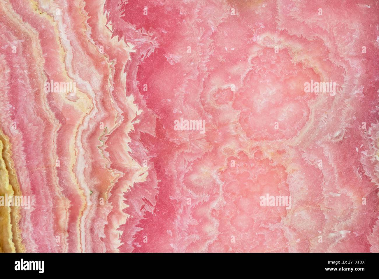 Image à haute résolution de roche de spécimen minéral rhodochrosite montre les motifs complexes et les teintes roses vibrantes d'une pierre rhodochrosite, perfec Banque D'Images