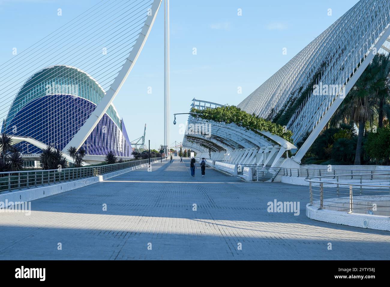 La Cité des Arts et des Sciences (Ciudad de las Artes y las Ciencias) est située dans le lit sec de la rivière Río Turia. Architecture contemporaine moderne Banque D'Images