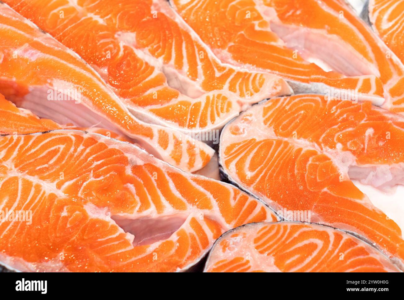 Saumon - steak de poisson frais sur fond blanc. Les filets de saumon crus non préparés sont utilisés dans les spécialités de fruits de mer préférées. Banque D'Images