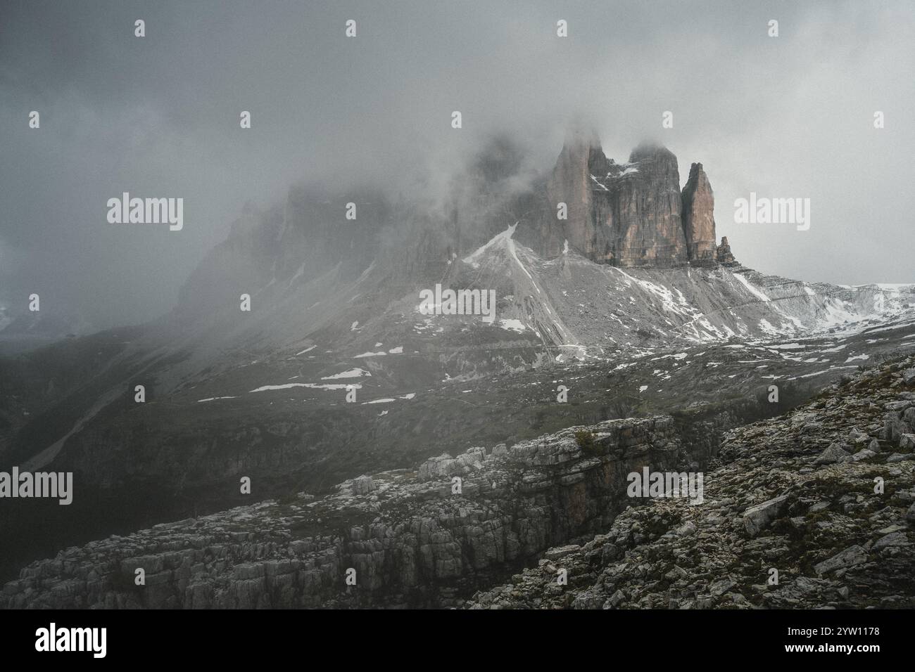 Une montagne majestueuse entièrement recouverte d'une couverture de neige immaculée, avec de grands arbres verts magnifiquement debout au premier plan Banque D'Images