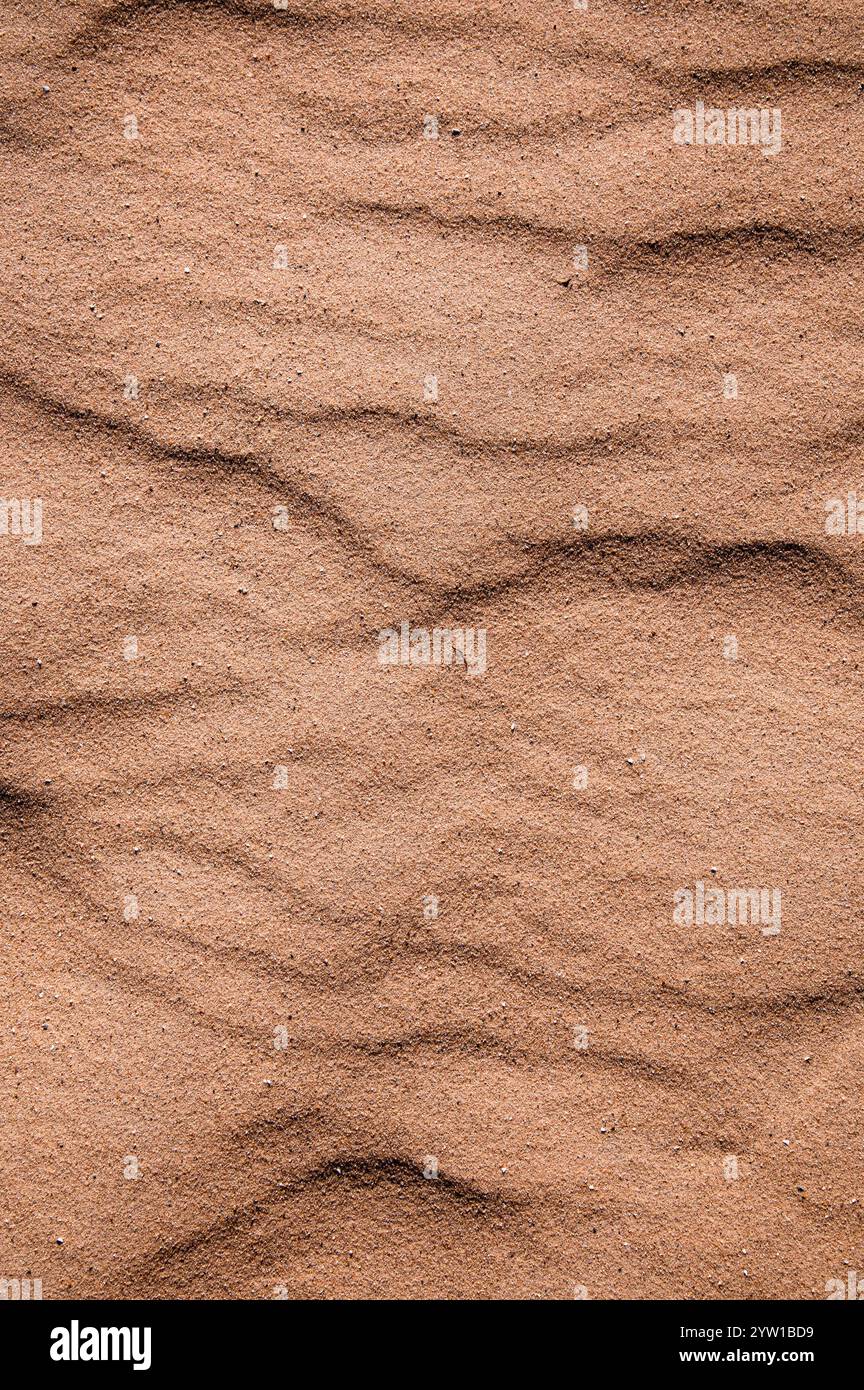 Vue de dessus du sable avec texture ondulée naturelle Banque D'Images